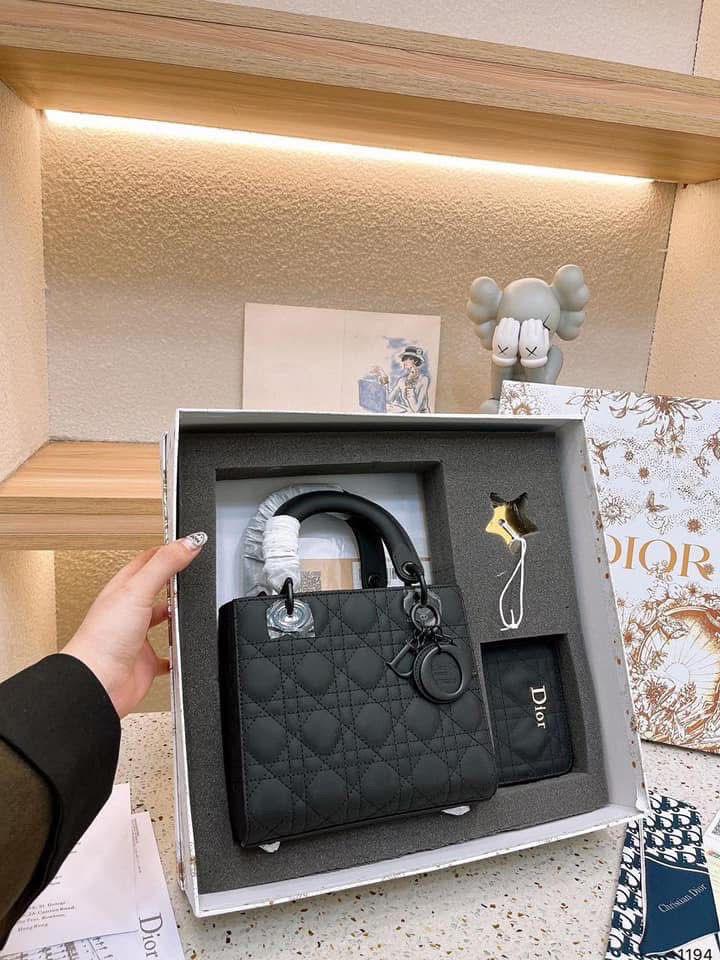 ladies bag