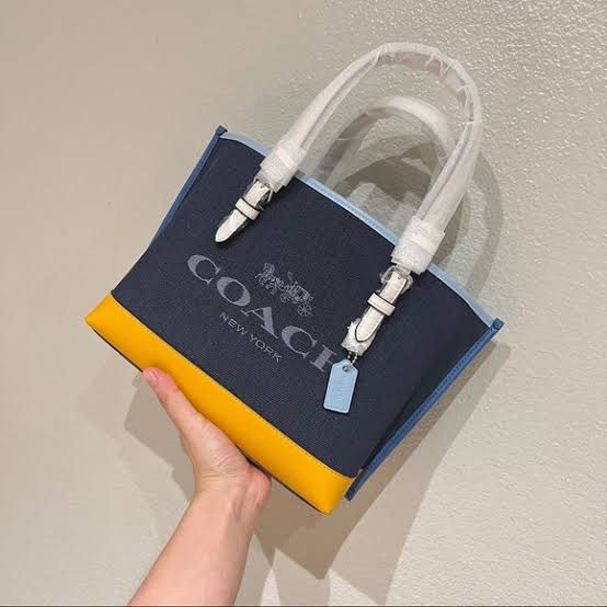 ladies bag